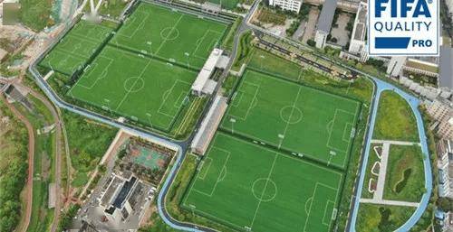 全球首个!德甲圣保利球场将覆盖巨型彩虹光伏系统